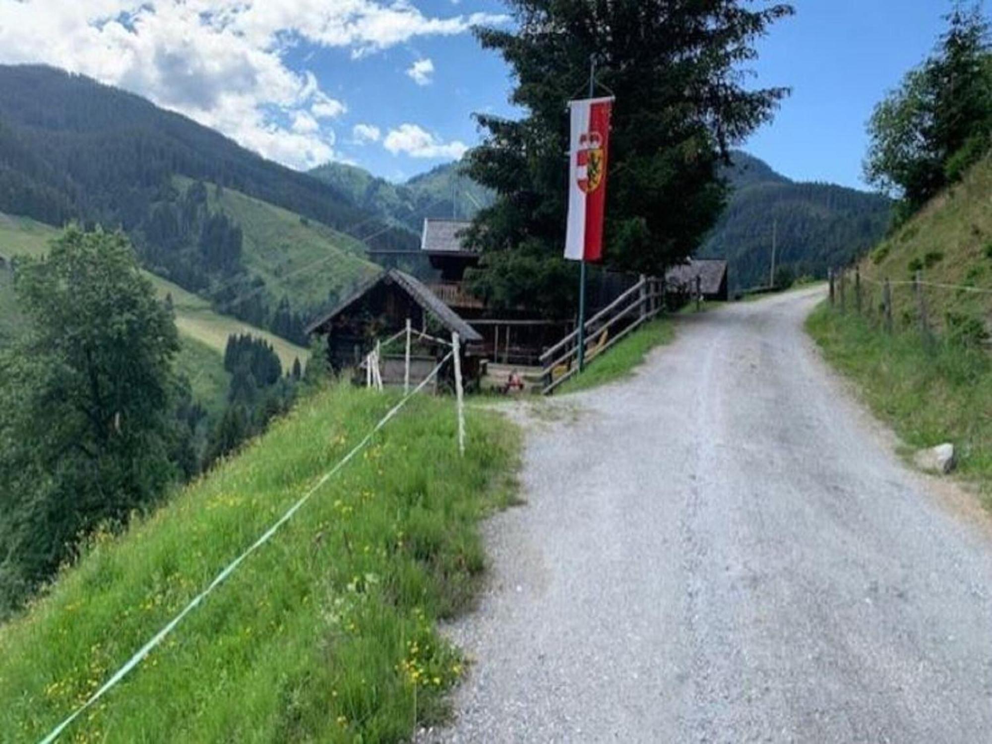 Quaint Mansion Near Ski Bus In غولدغ المظهر الخارجي الصورة